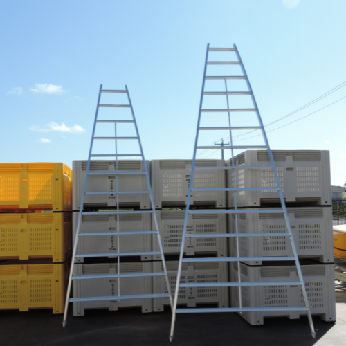 citrus-bow-aim-ladder