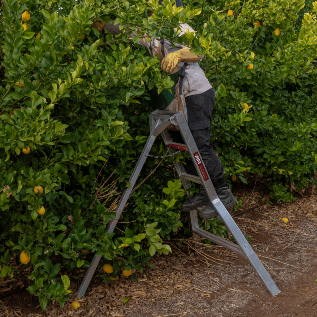 aim-tripod-orchard-ladder