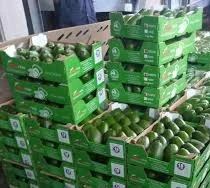 Avocados AIM Sales