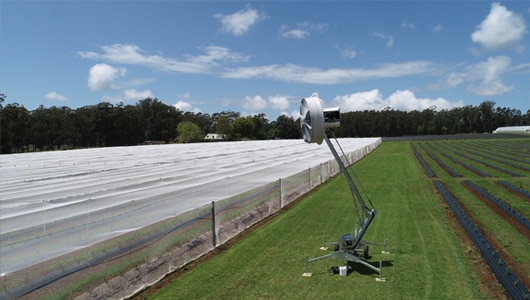 4---Protecting-blueberries---The-Tow-&-Blow-Fans-can-either-be-placed-adjacent-to-or-underneath-netting