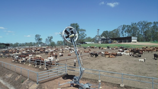 7---Evaporative-Cooling---Tow-&-Blow-being-used-to-cool-cattle-in-the-hot-conditions-at-a-feedlot