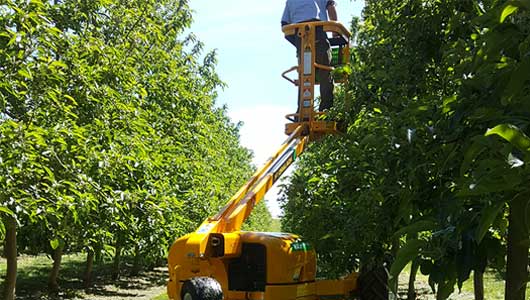 Extremely low chassis and footprint for maximum reach in the orchard