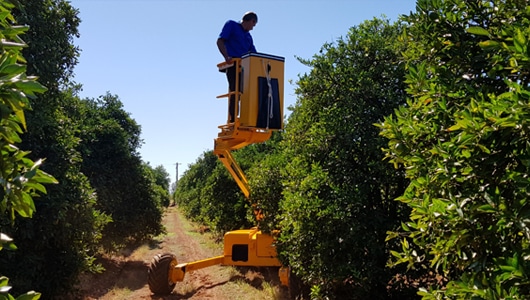 Fitted-with-optional-slew-cage-to-further-increase-reach-into-the-tree